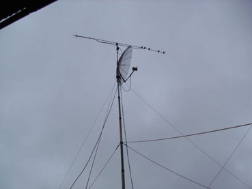 morgendliche Besucher auf der 70cm Antenne.