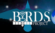 Bird Project